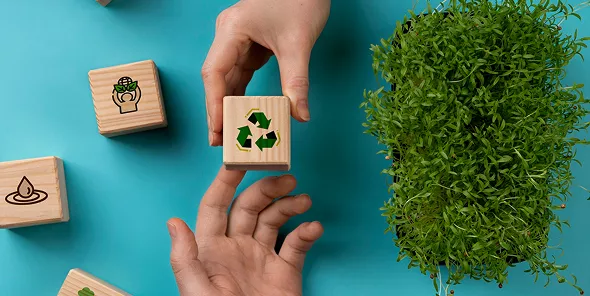 Eco-friendly materials representing sustainability practices at Seven Rings Cement.
